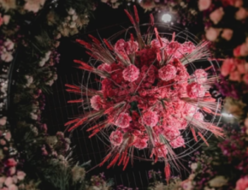 FLORALE DUFTEXPLOSION  Lebenszyklus I  LAGA Bad Nenndorf